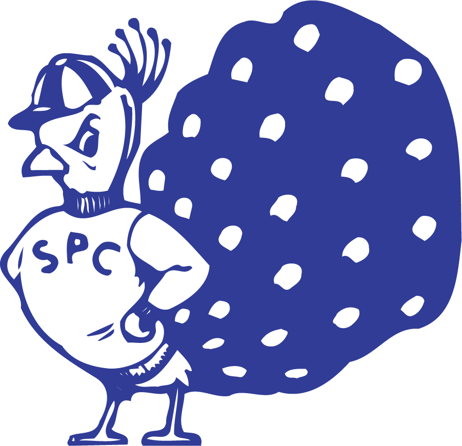 St. Peters Peacocks 1982-2003 primary logo DIY iron on transfer (heat transfer)